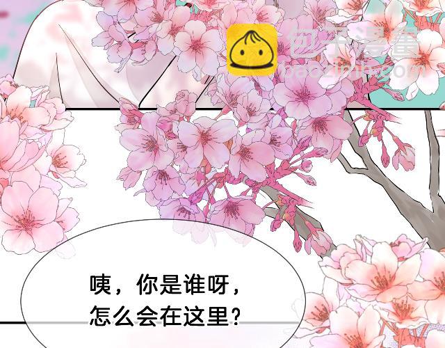 02花朝月夕(1/3)-第2话