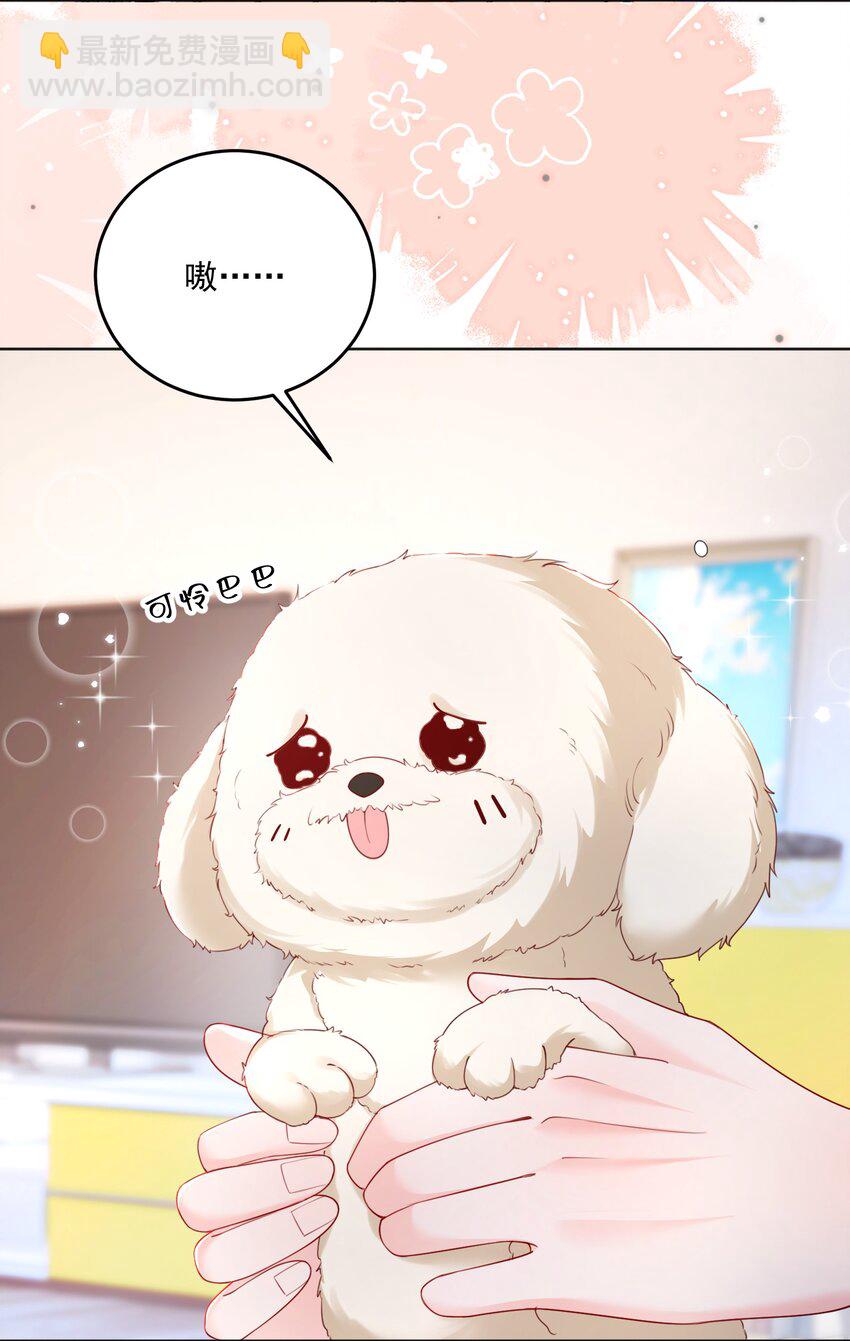 青梅了了 - 067 被雨淋溼的小狗 - 1