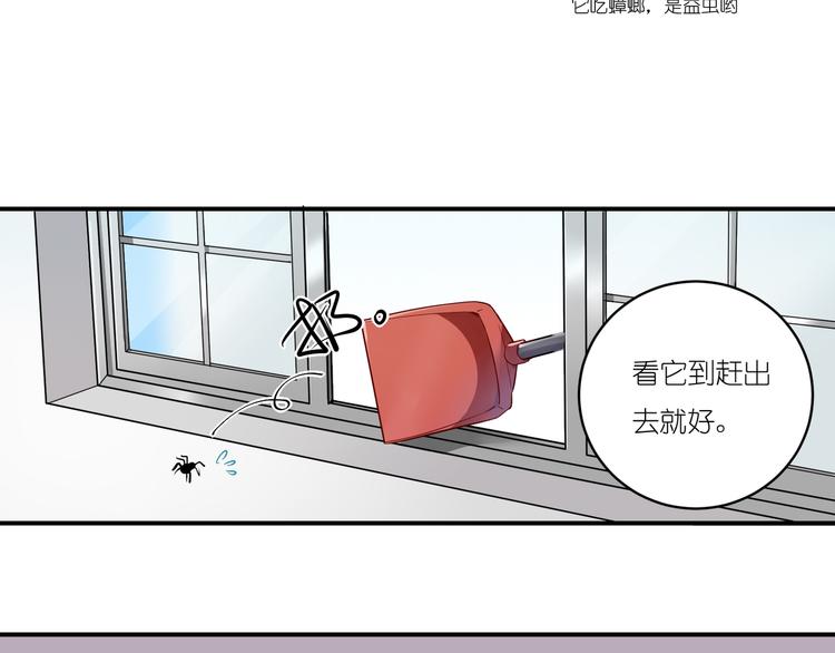 第6话 天降第三者-第6话