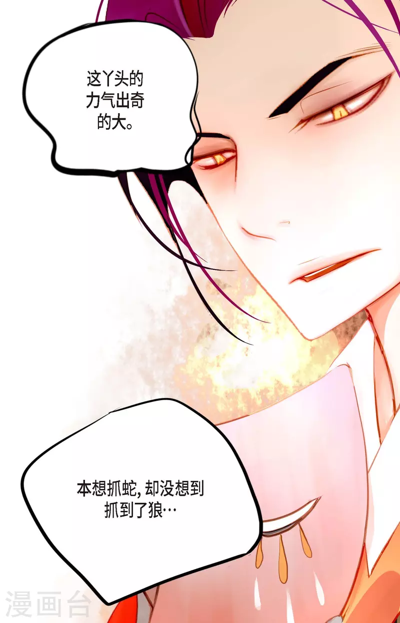 第11话 下套狩猎-第12话