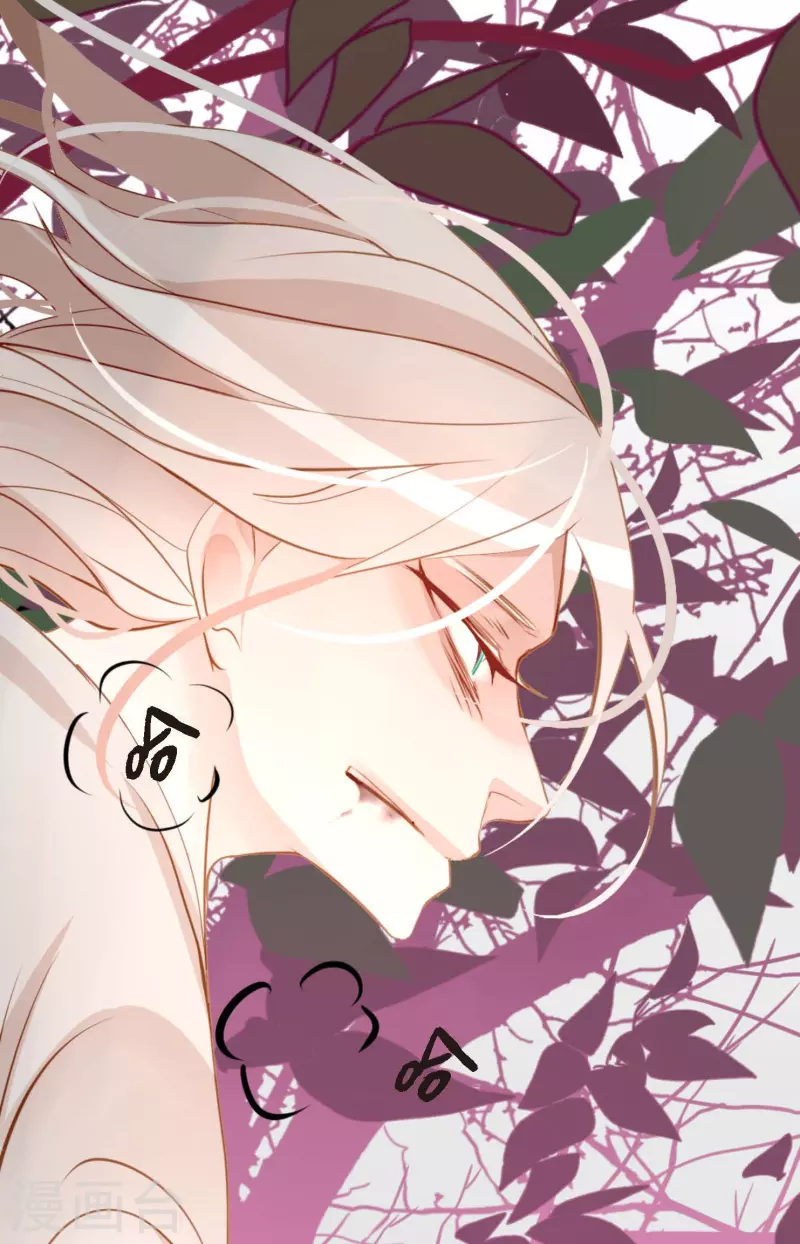 第13话 报仇-第14话