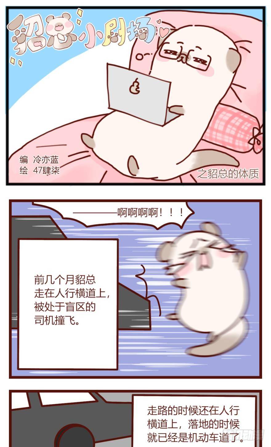 【貂总小剧场】：体质-第140话