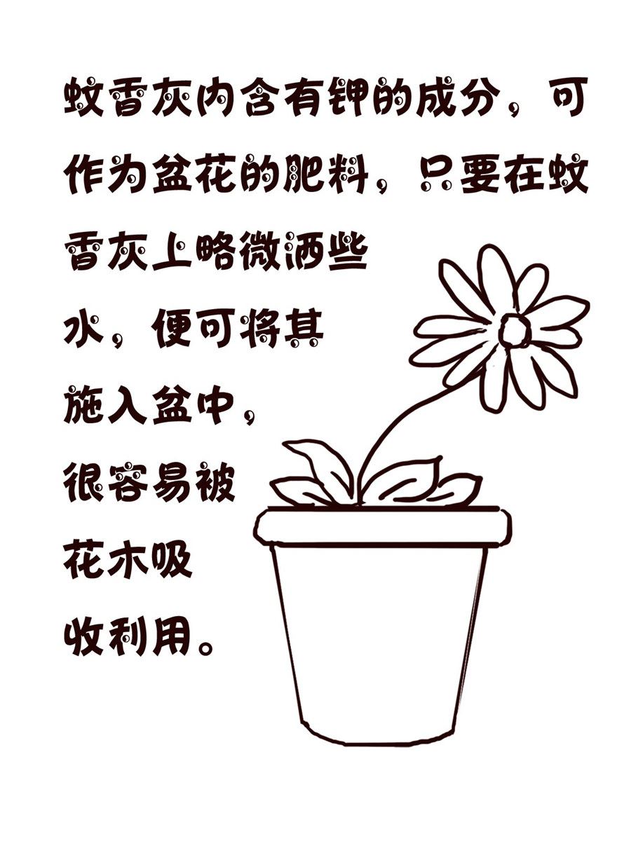 轻松一刻 第54集-第54话