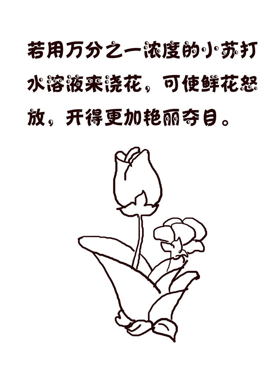 轻松一刻 第58集-第58话