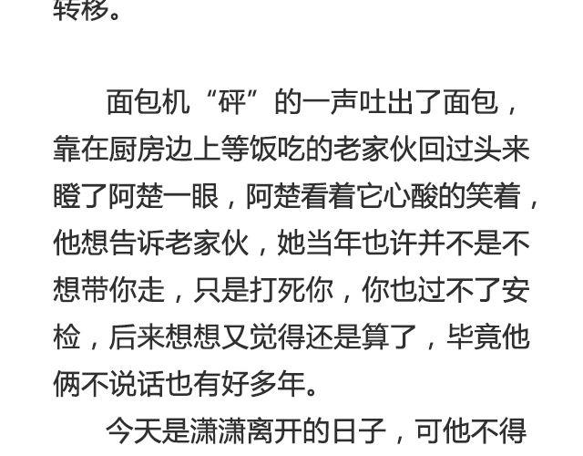 明年今日就是十年 | @Emma北渺-第34话