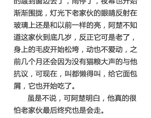 明年今日就是十年 | @Emma北渺-第34话