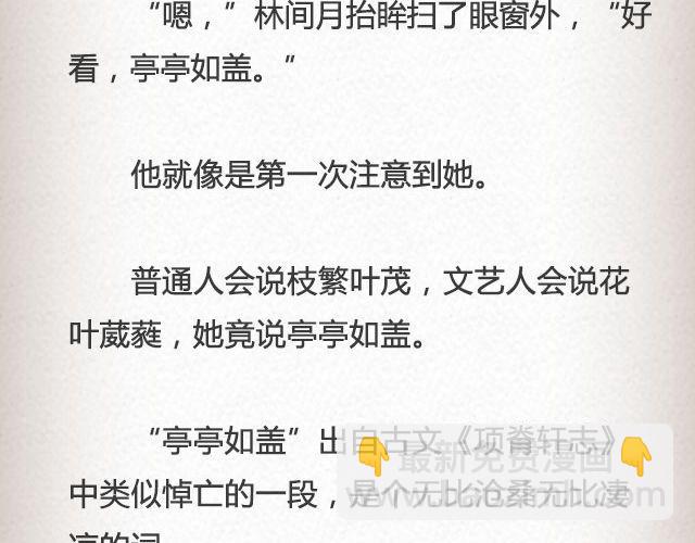 枇杷  （上）-第52话