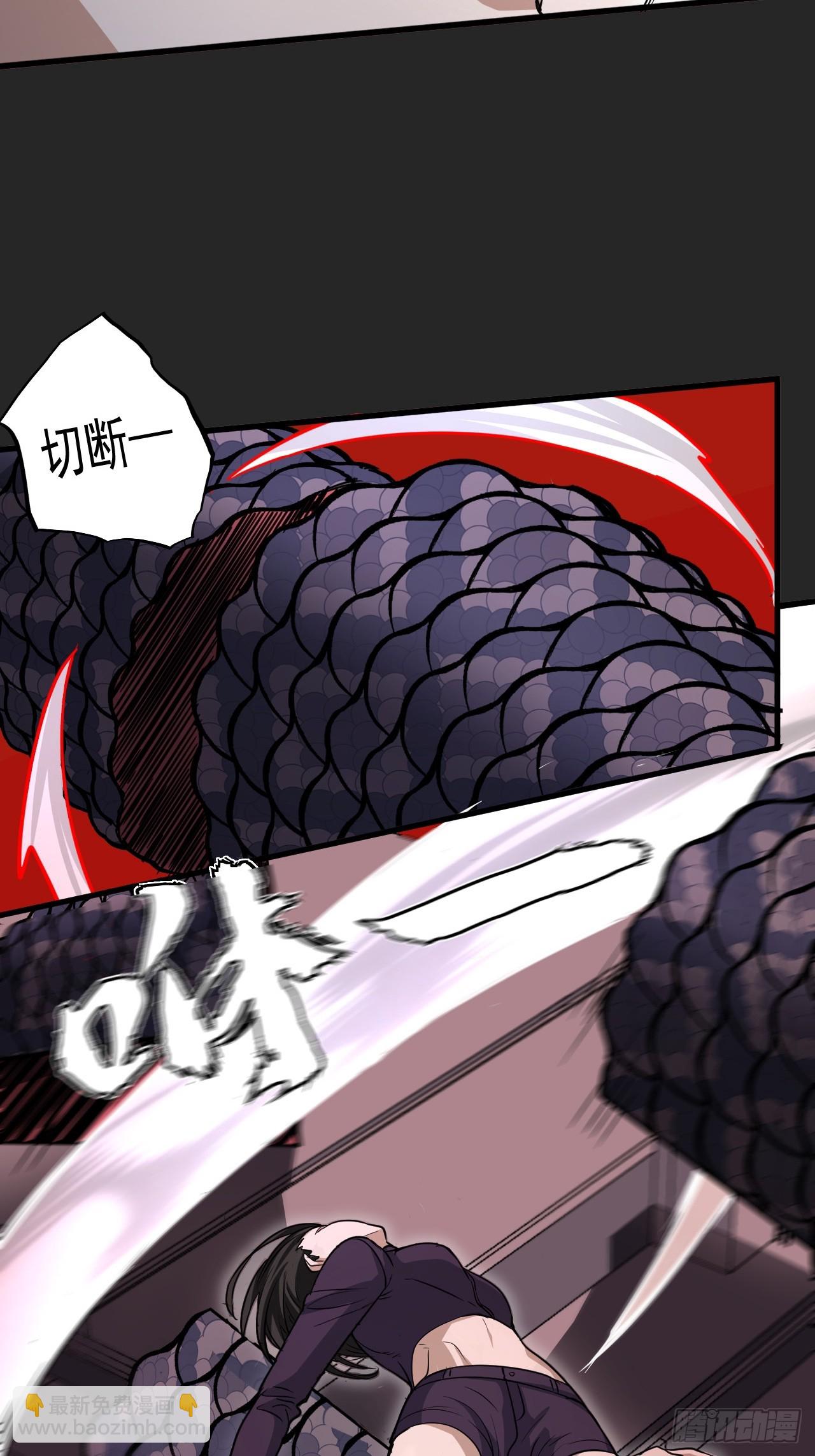 第25单：九命猫 02(1/2)-第26话