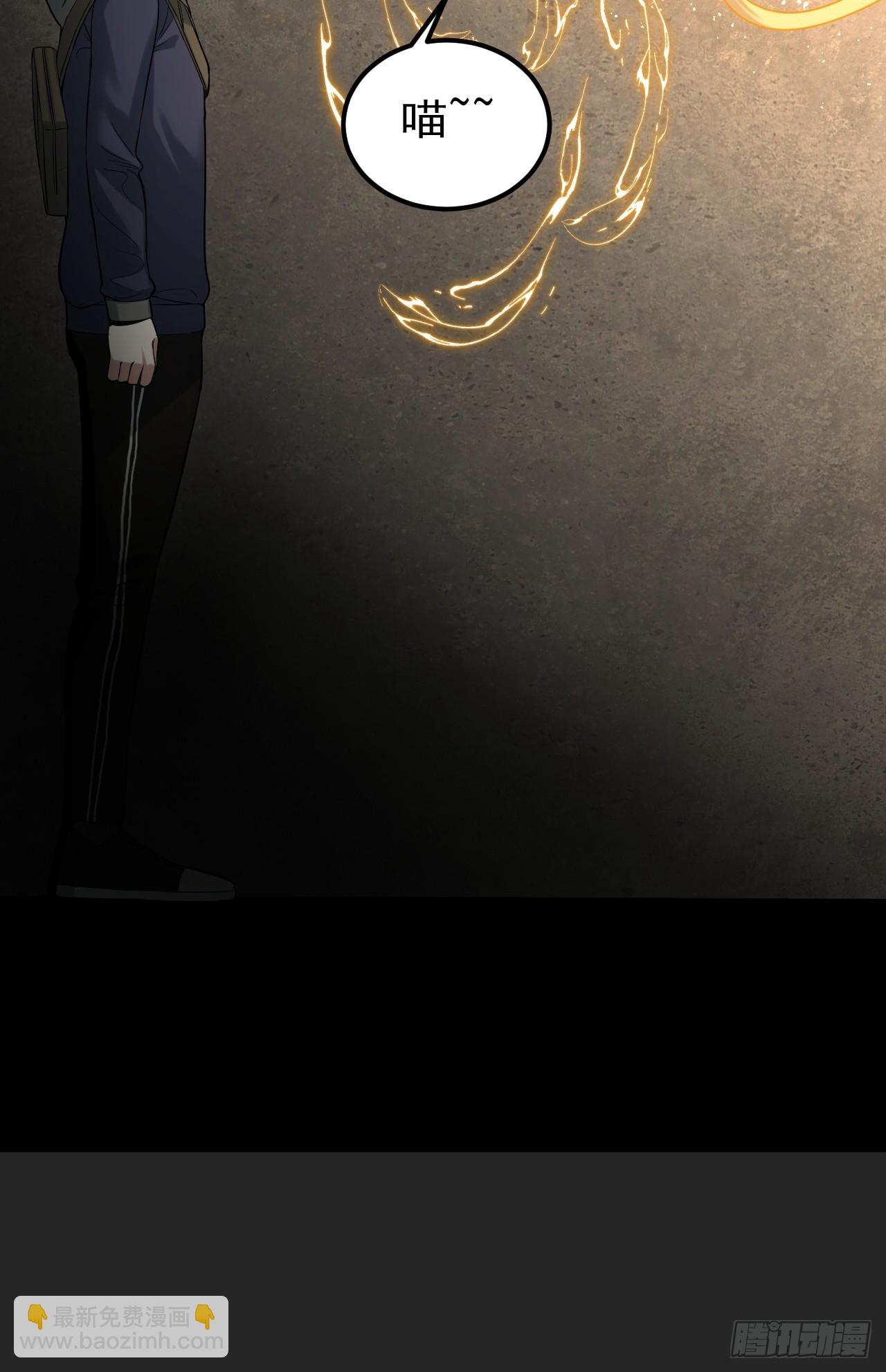 第35单：九命猫 11(1/2)-第36话