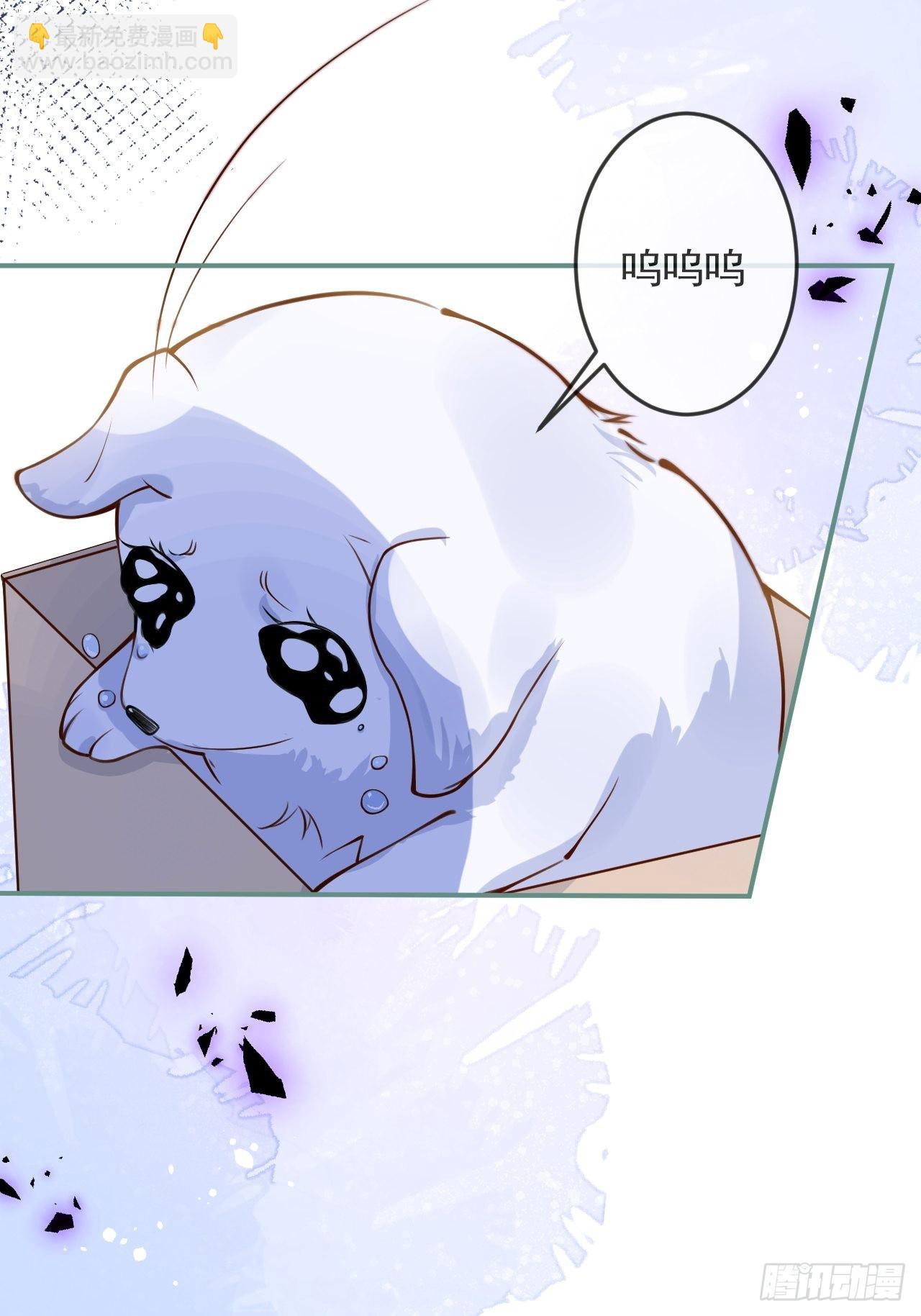 44-我心悦你等你(1/2)-第46话