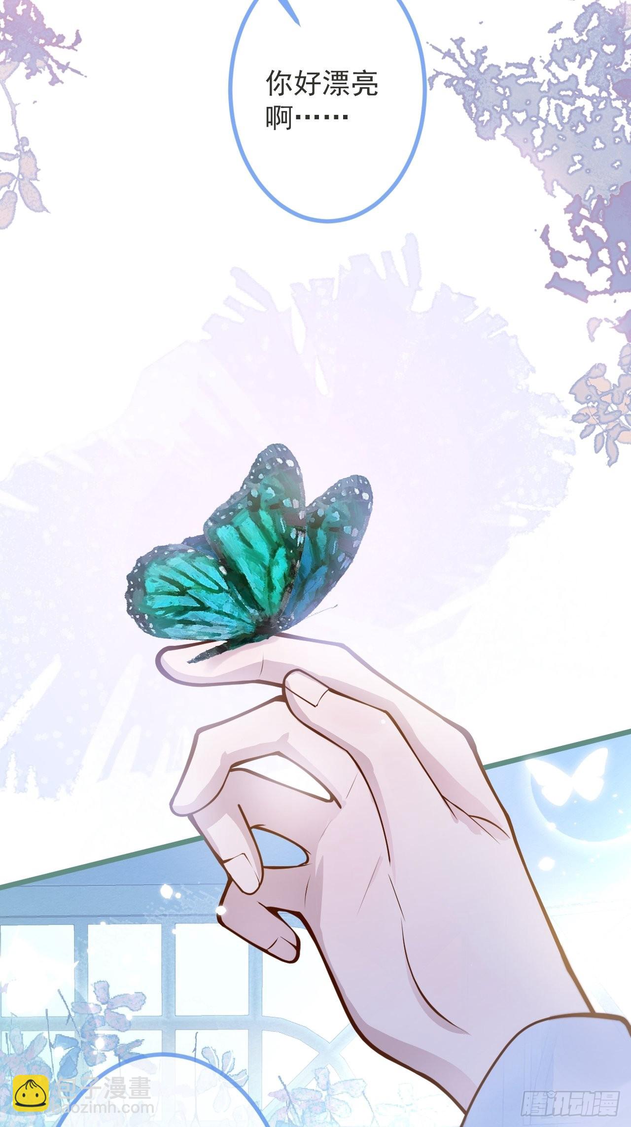 50-小美女登场。(1/2)-第52话