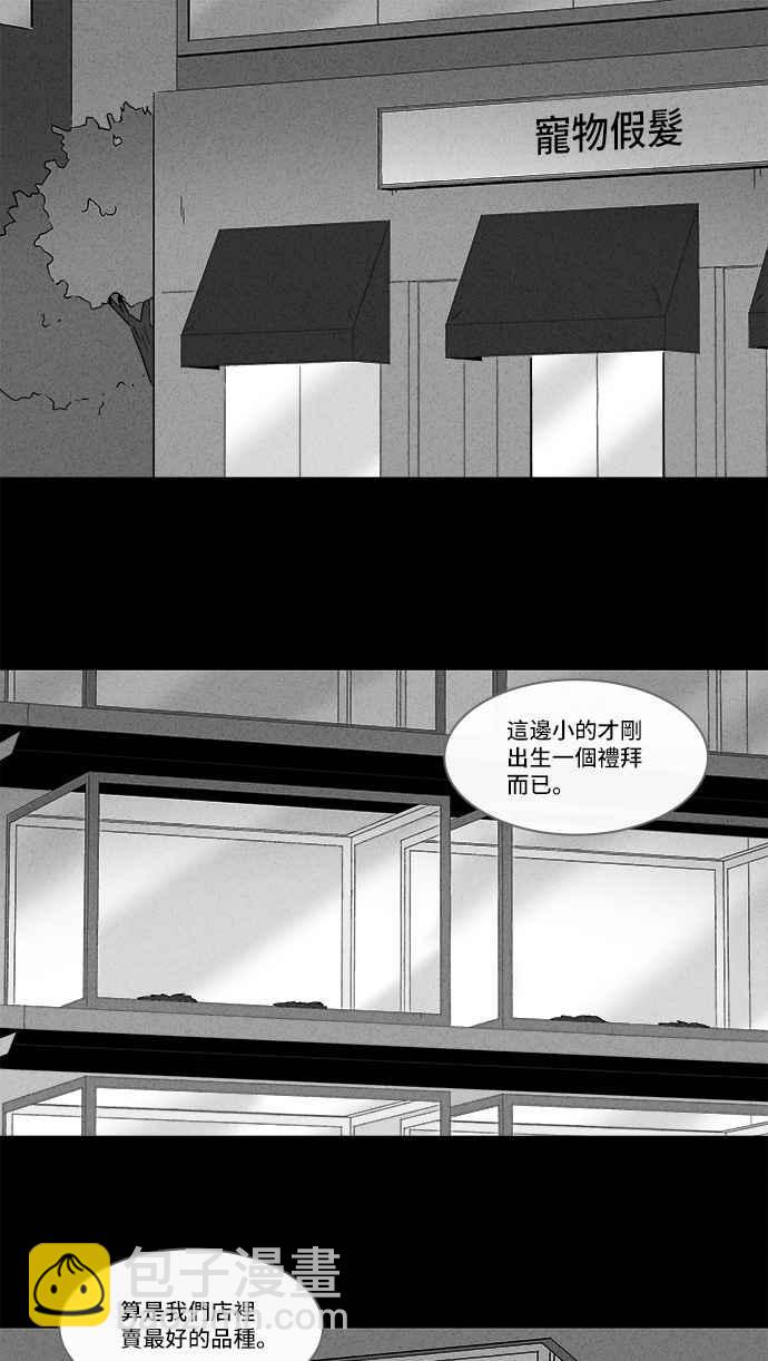 奇奇怪怪 - [第139话] 宠物假发 1 - 2