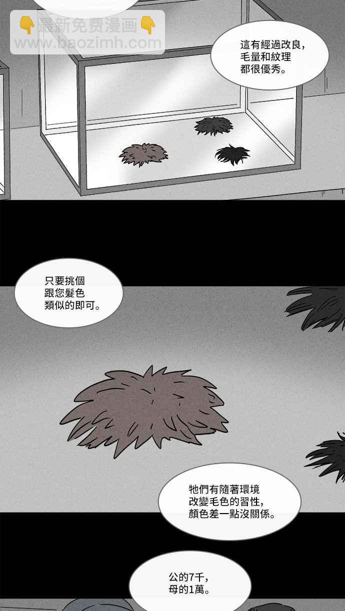 奇奇怪怪 - [第139話] 寵物假髮 1 - 3