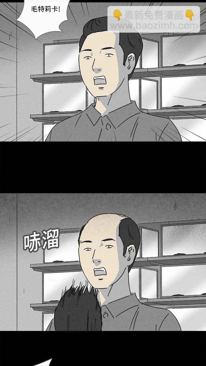 奇奇怪怪 - [第139話] 寵物假髮 1 - 5