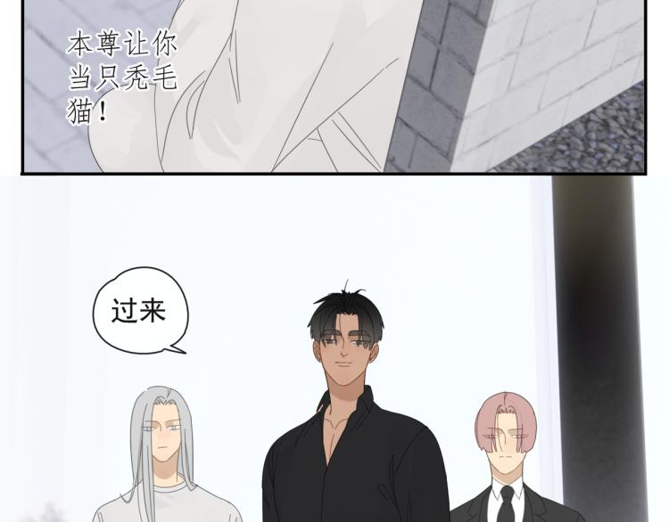 第40章 林子贺（修）(1/2)-第40话