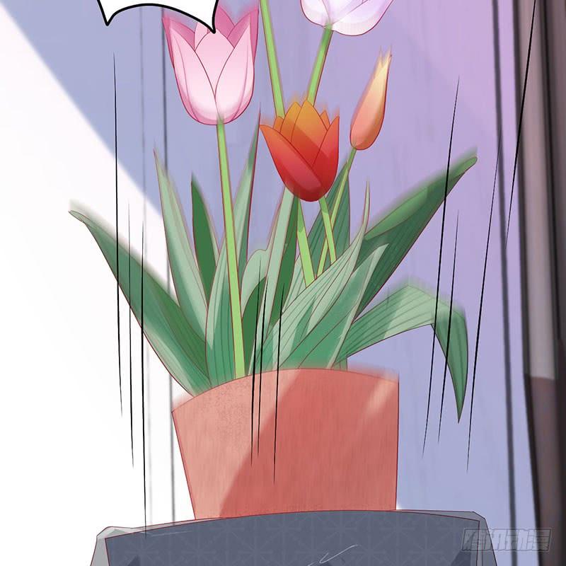 第38话 冲动之举(1/2)-第38话