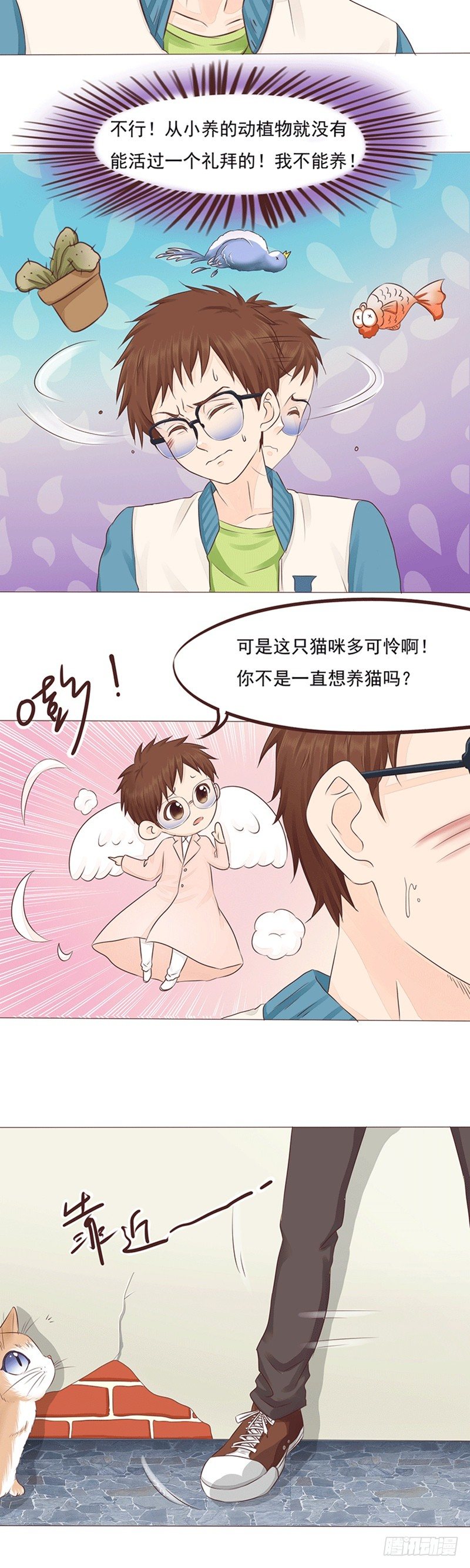 第14话 雨天遇见喵~-第14话