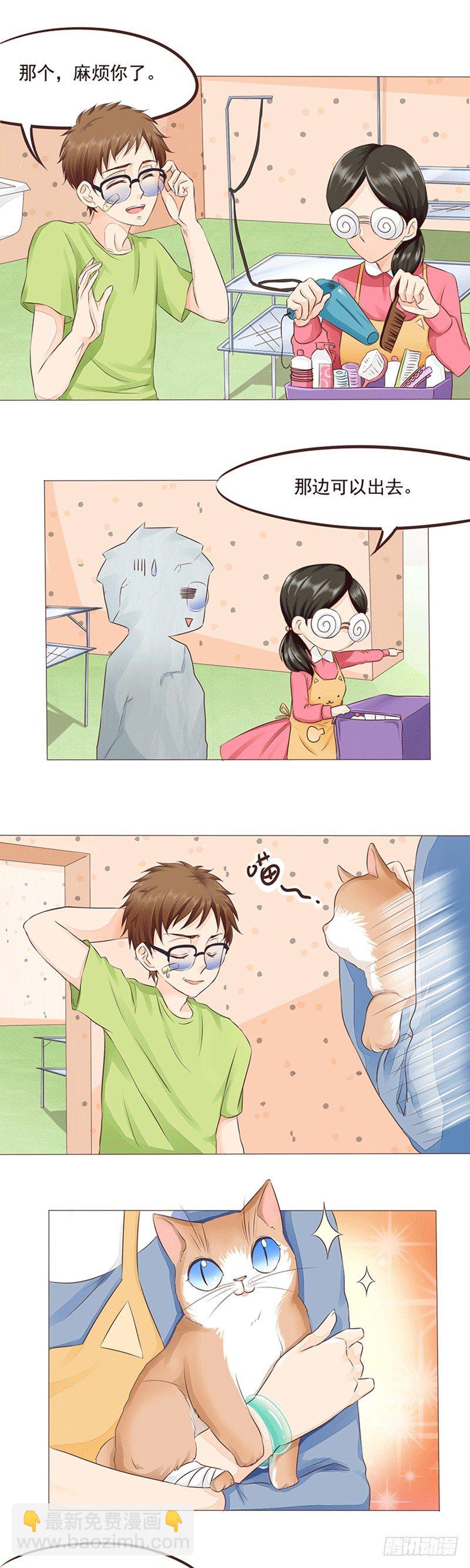 第16话 女人和猫都败家-第16话