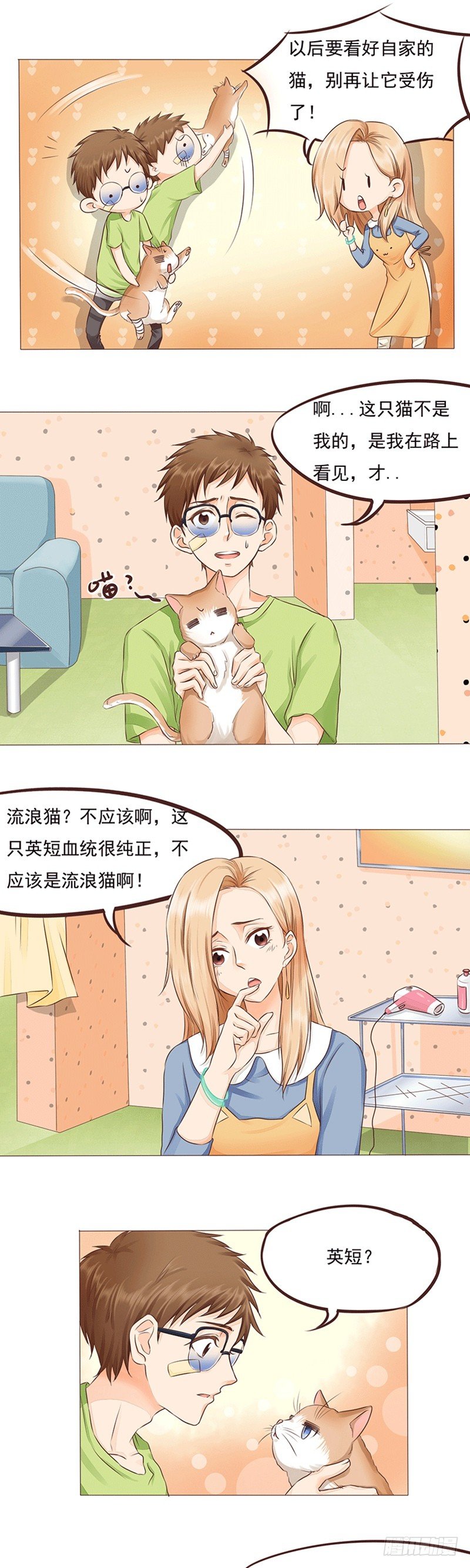 第16话 女人和猫都败家-第16话