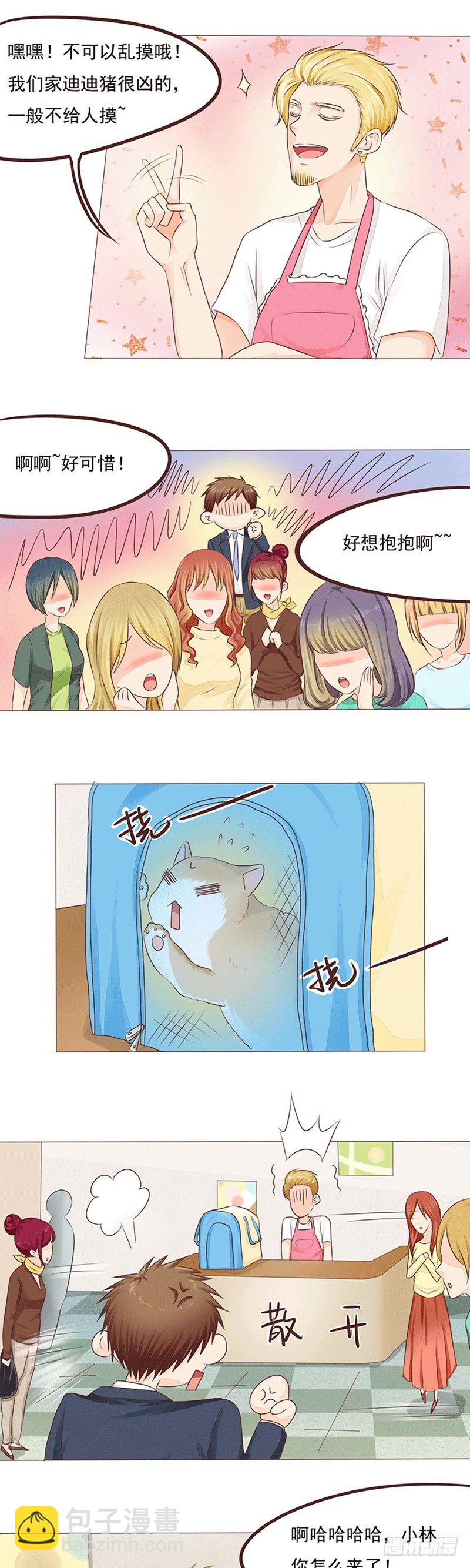 第18话 迪迪猪的奋战-第18话