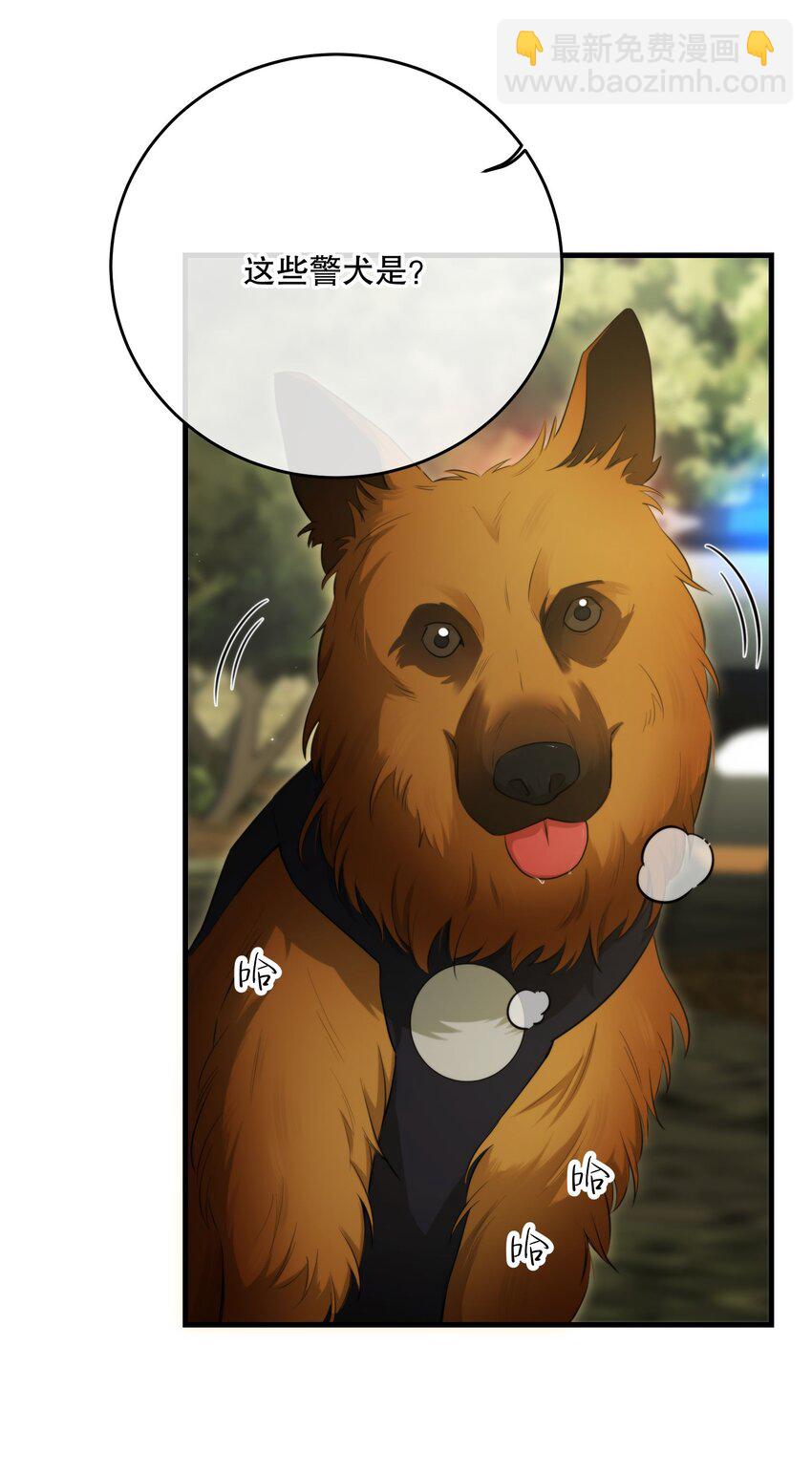 第37话 残酷回忆(1/2)-第40话