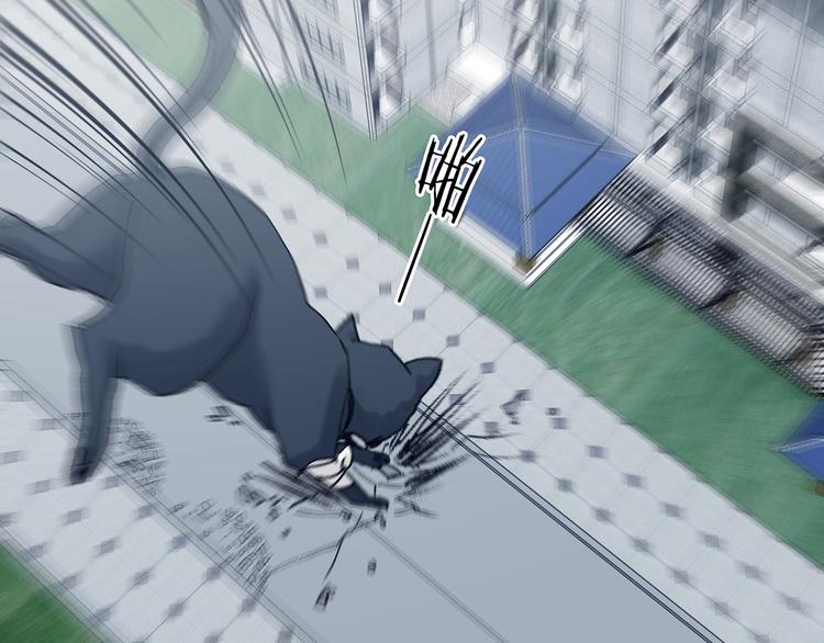 第92话 最终章 猫男（三）(1/5)-第92话