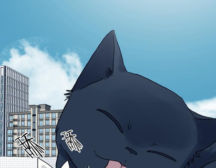 第92话 最终章 猫男（三）(1/5)-第92话