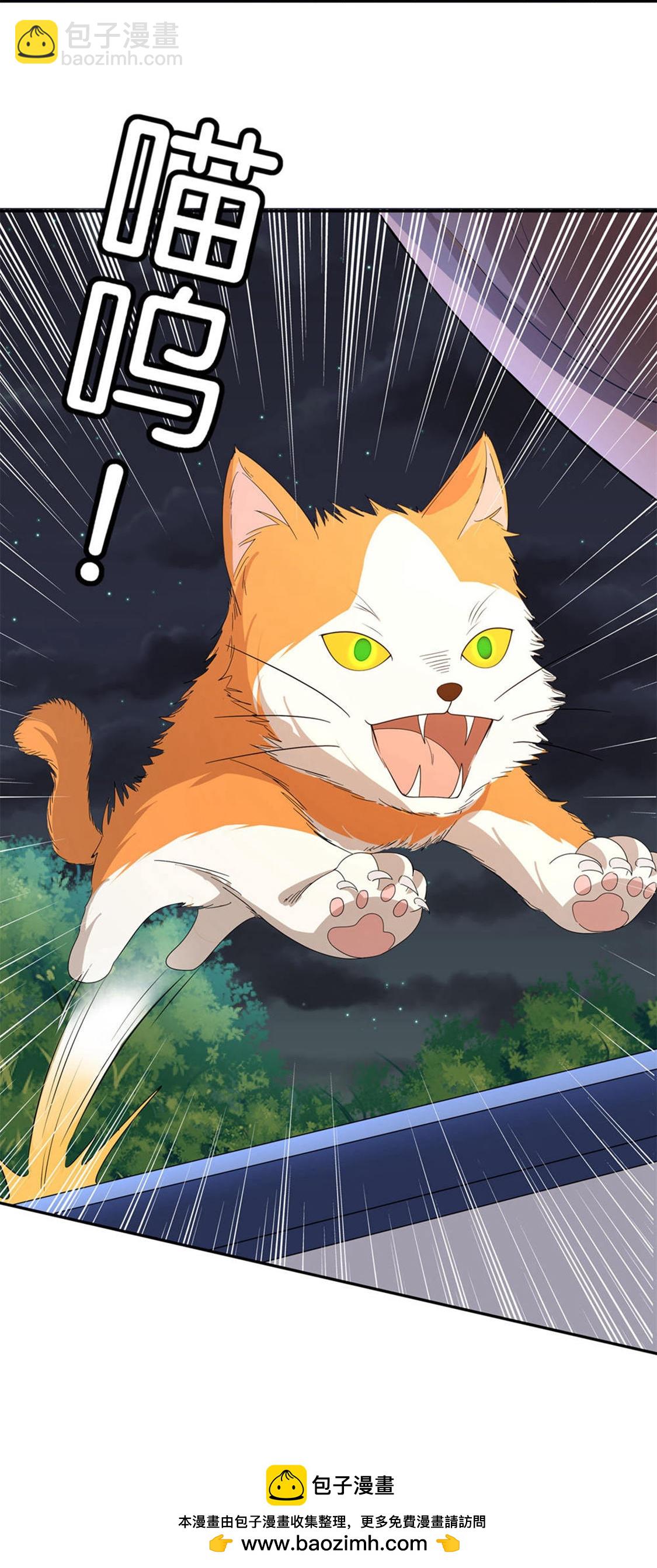 契約冷妻不好惹 - 第304話 養顏湯的功效 - 6