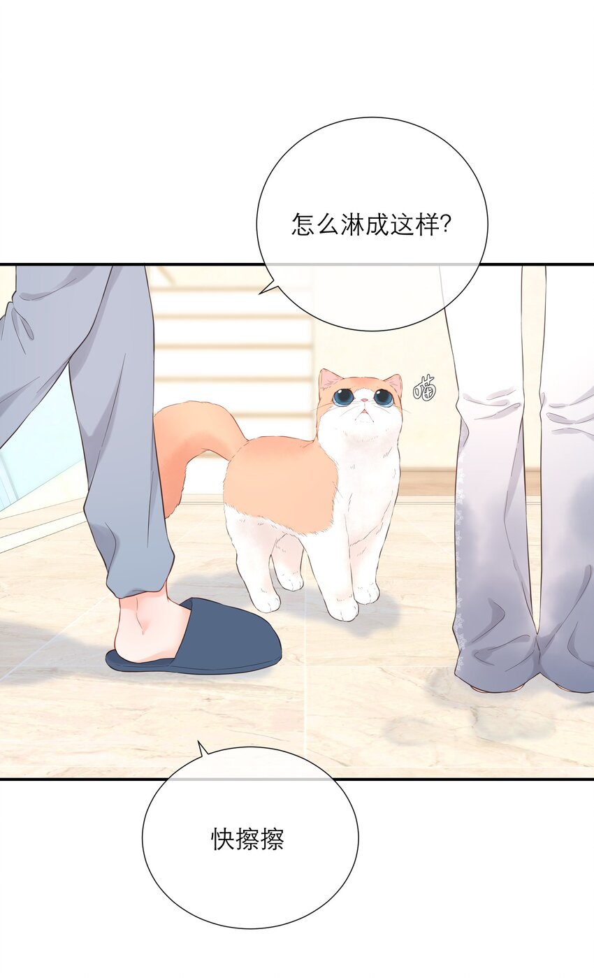 044 解约(1/2)-第46话