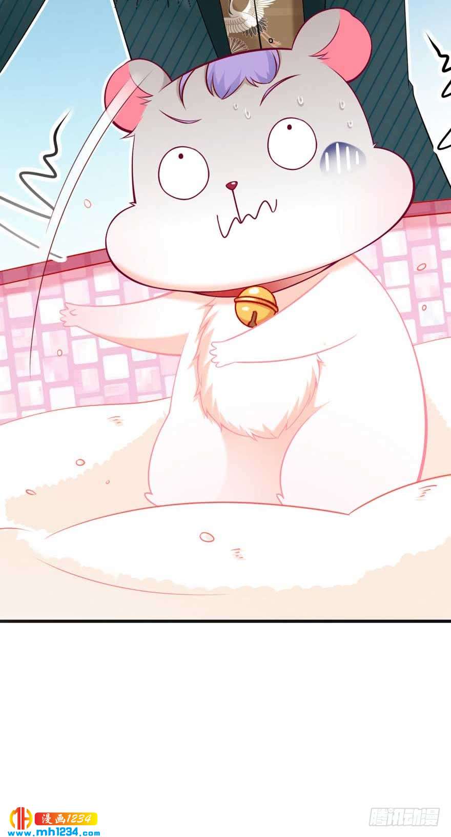 第15话 洗白白-第18话