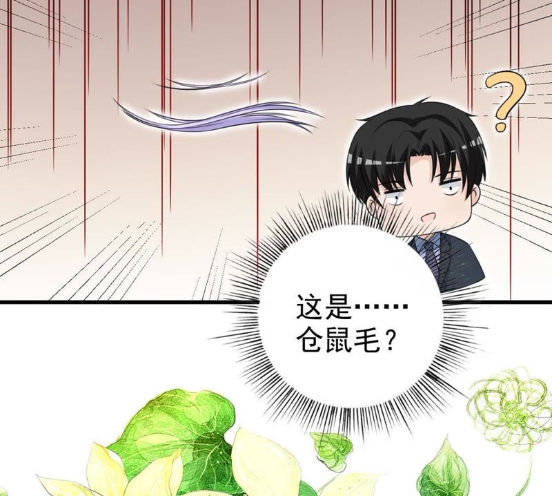 第35话 掉毛(1/2)-第38话