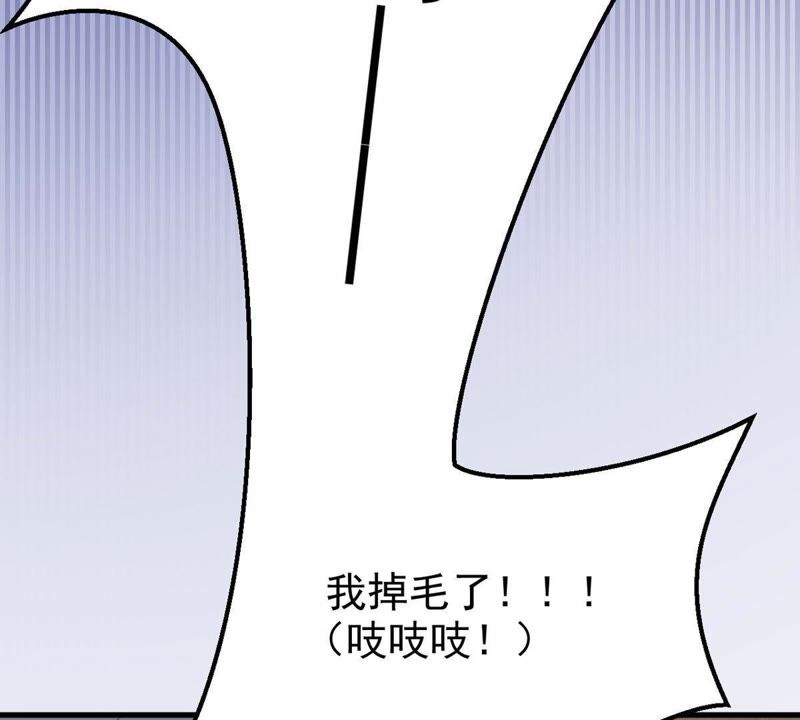 第35话 掉毛(1/2)-第38话