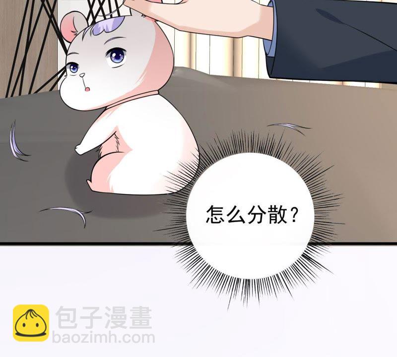 第35话 掉毛(1/2)-第38话