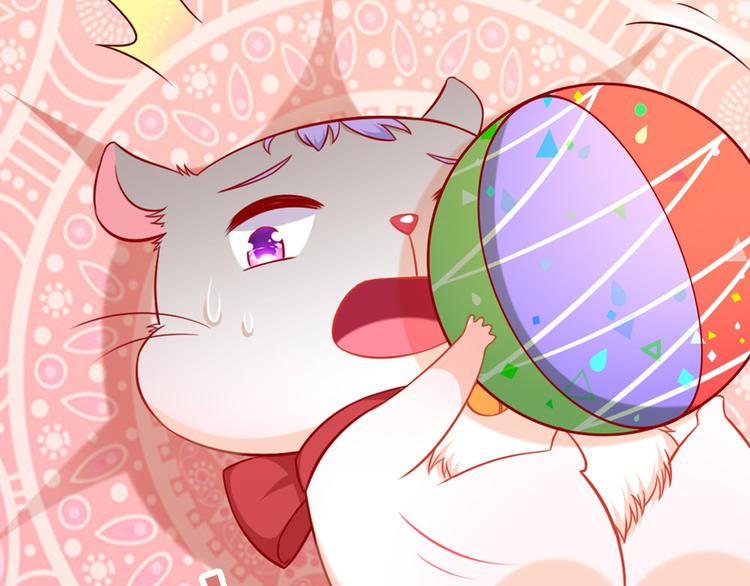 第5话 国民老公的高级货(1/2)-第6话