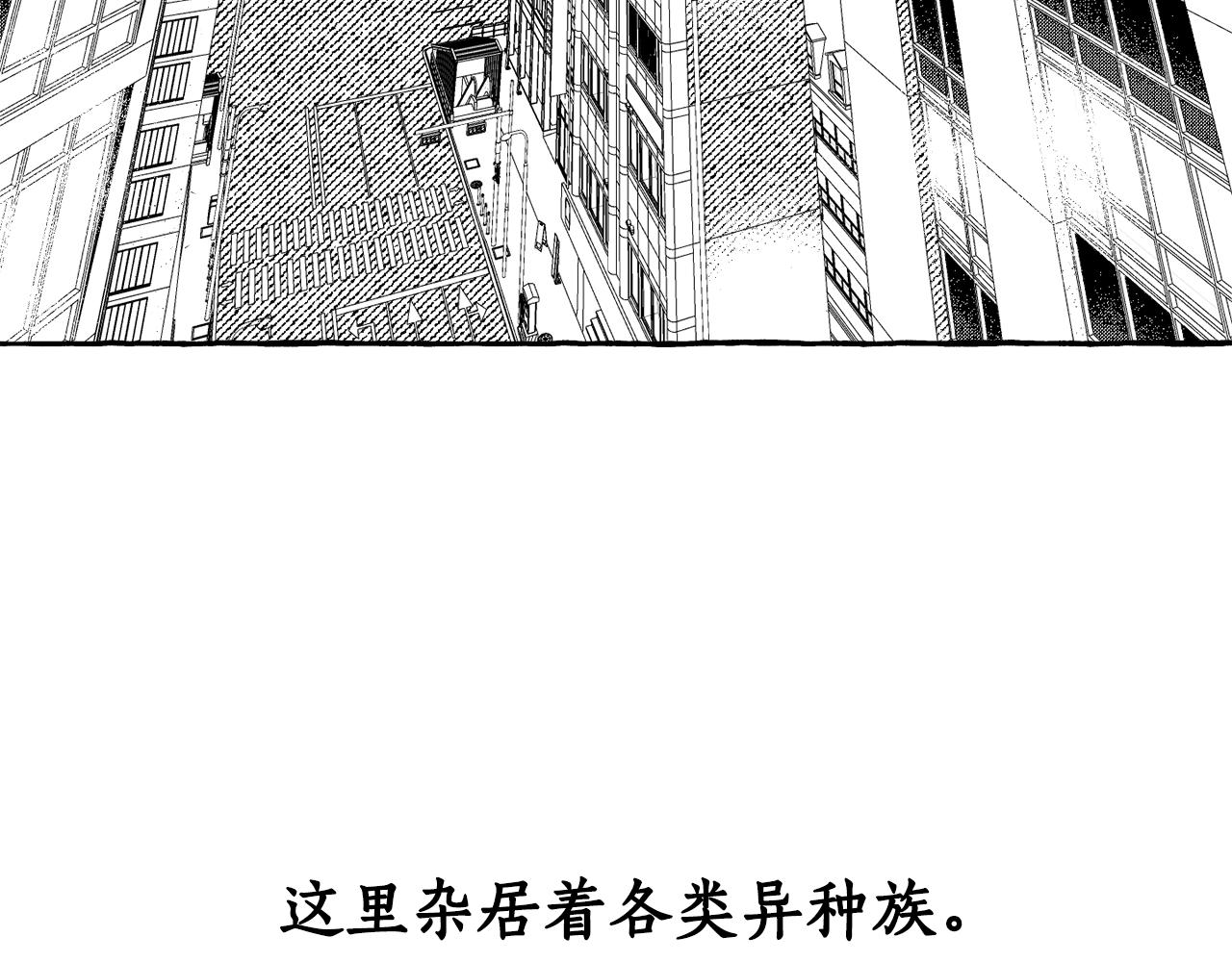 第1话 神秘来信(1/3)-第2话