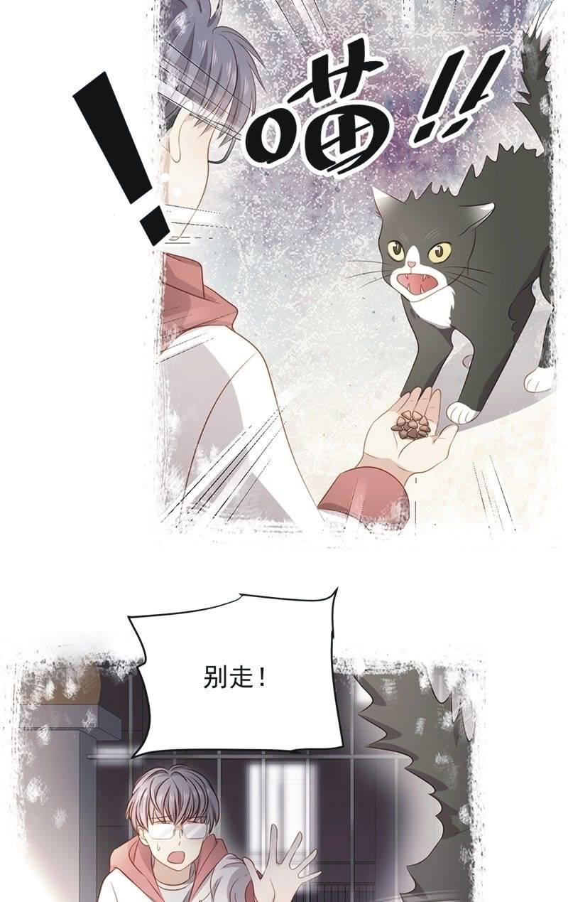 第八十四话-第88话