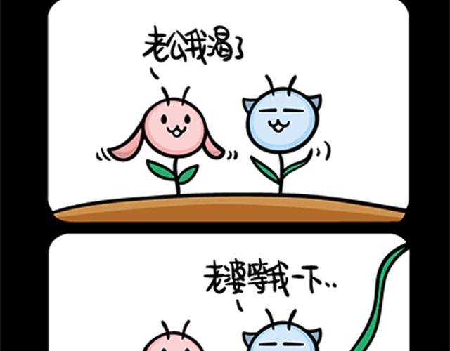 第69~72话 二师兄-第16话