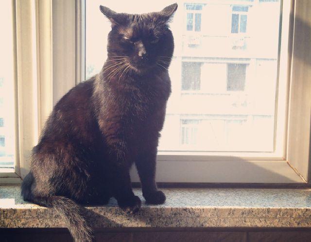 第26、27话 我是一个有梦想的人-第12话