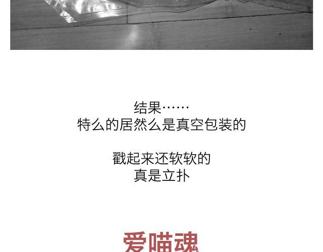 第62、63话 未知的未来-第30话