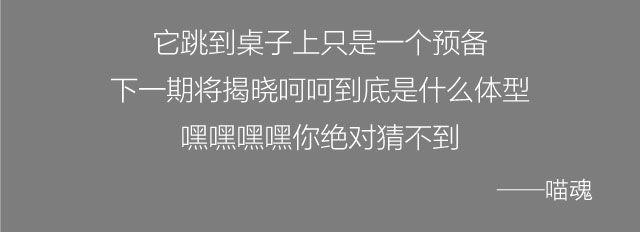 第10、11话 我不喜欢欺负人-第4话