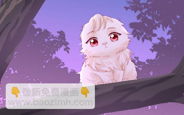 妻主請享用 - 第39話 你有別的狗了(1/3) - 7