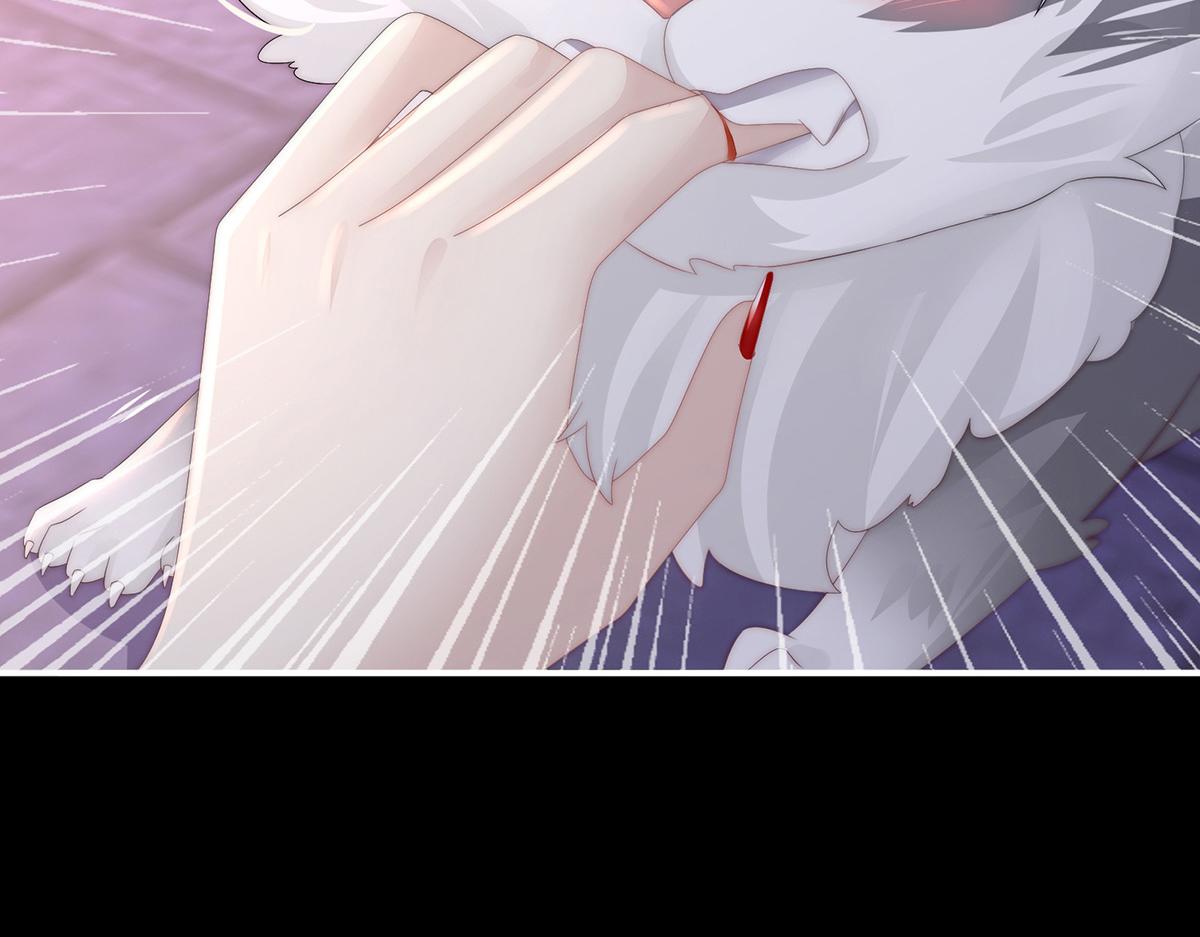 20 白嫖一只狼崽(1/3)-第24话