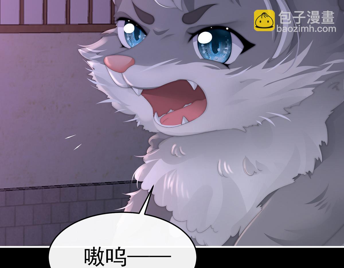 20 白嫖一只狼崽(1/3)-第24话