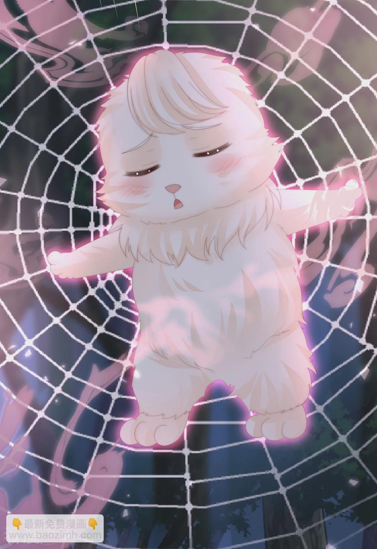 第78话 被蛛丝缠绕的男人-第82话