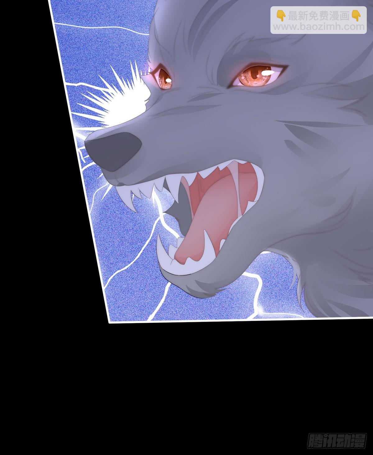 他，十分鲜美(1/2)-第114话