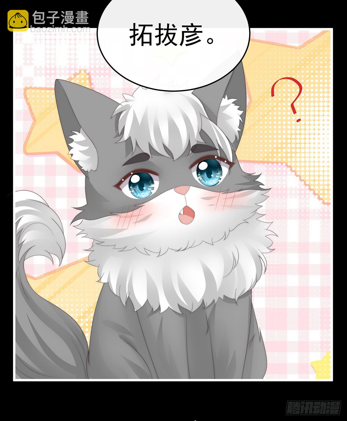 卖了你做诱饵(1/2)-第116话