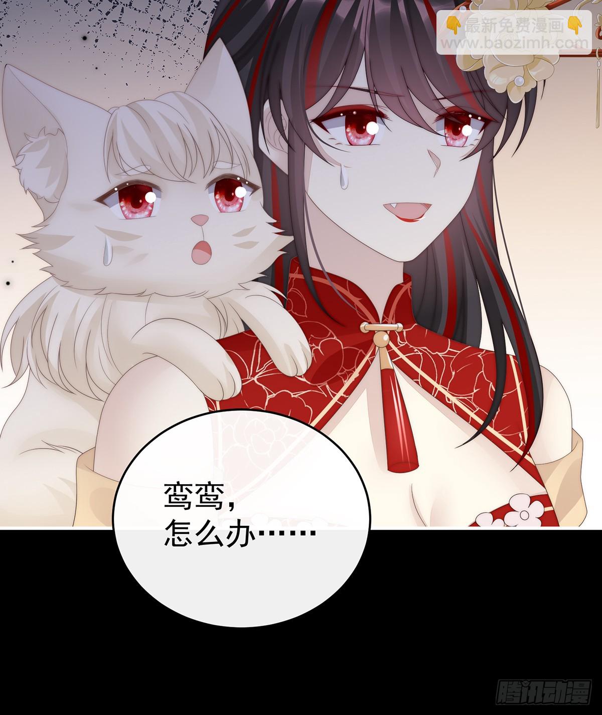 卖了你做诱饵(1/2)-第116话