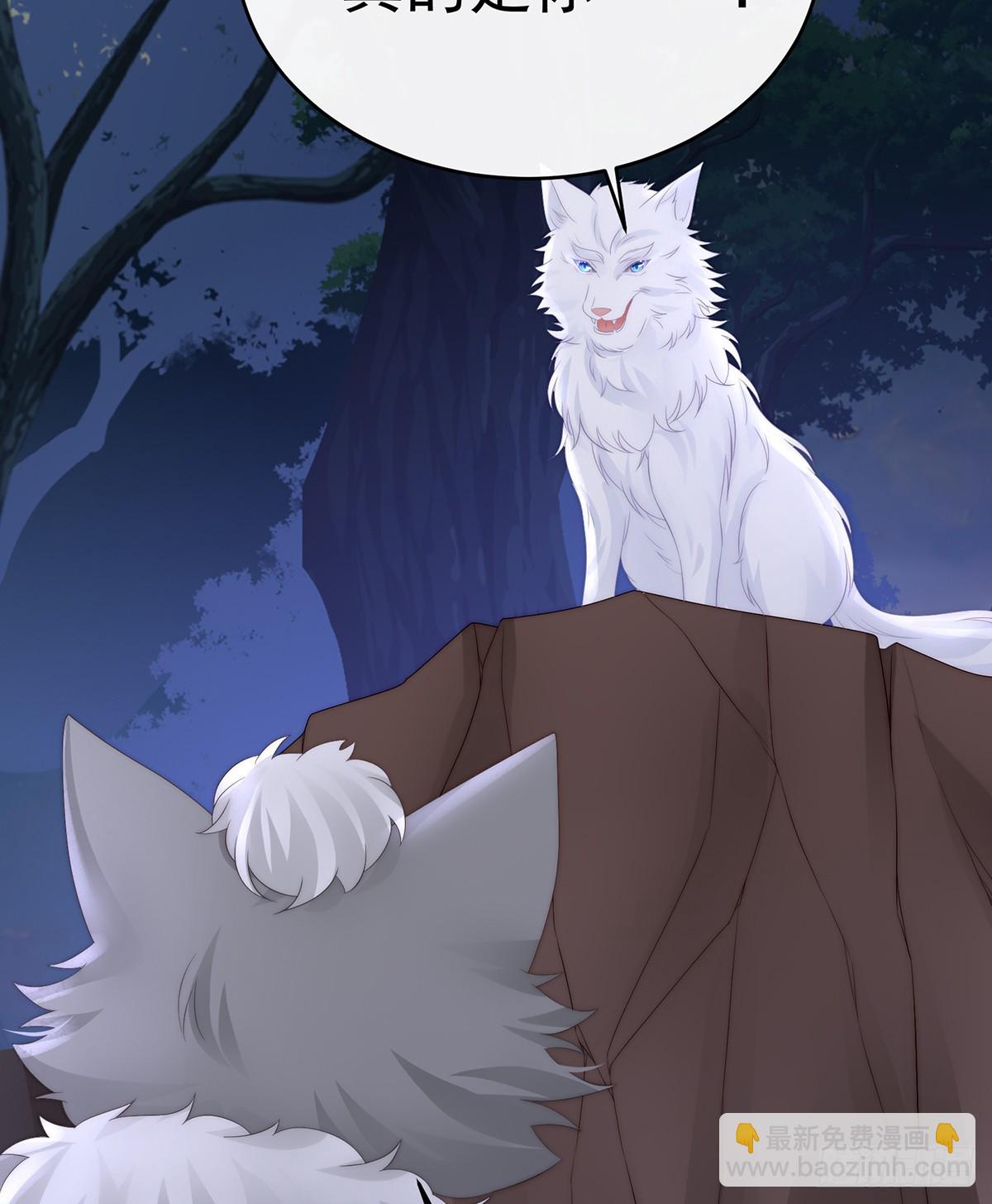 卖了你做诱饵(1/2)-第116话