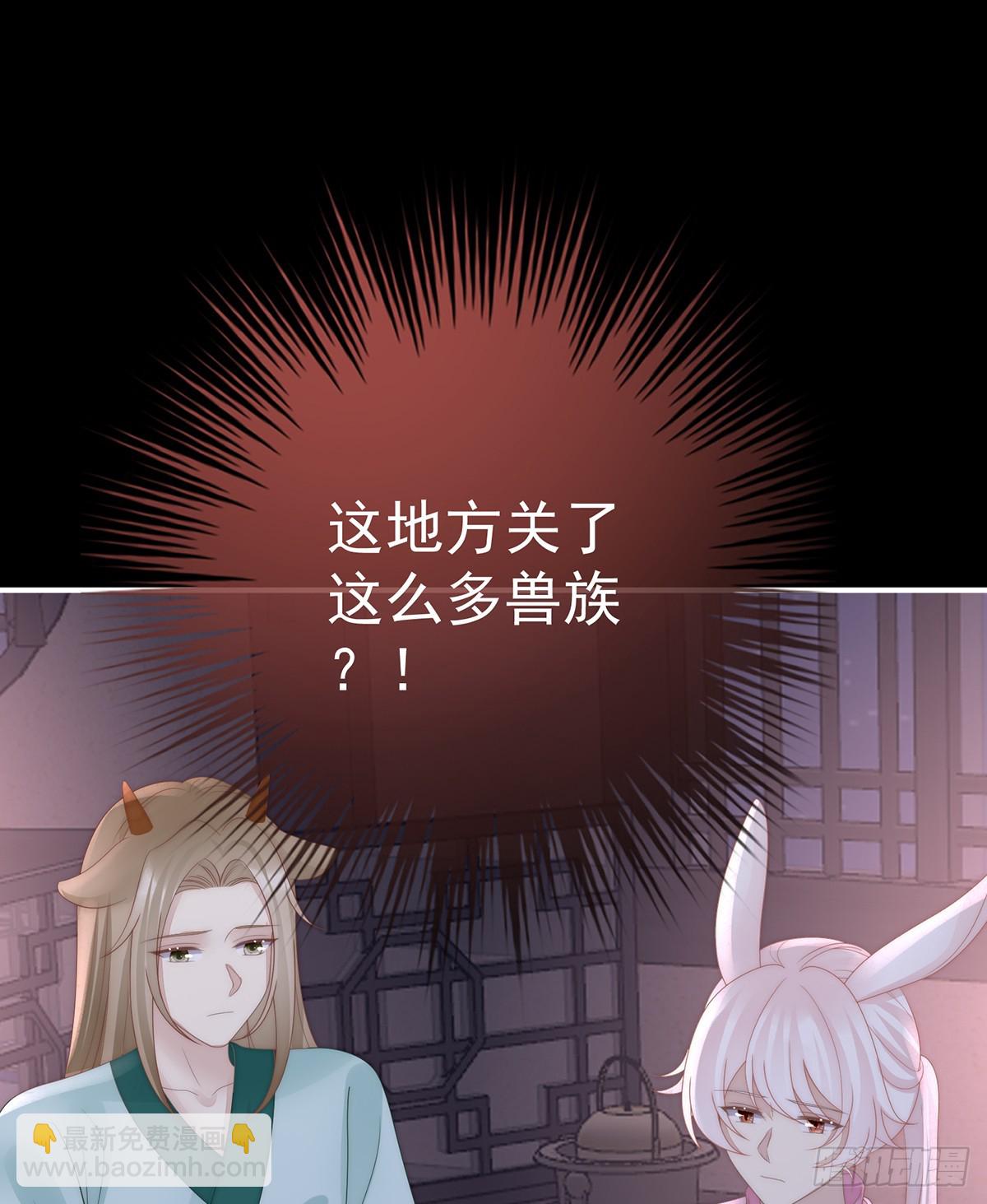 妻主，請享用（別名：天喜紅鸞） - 幕後主使(1/2) - 5