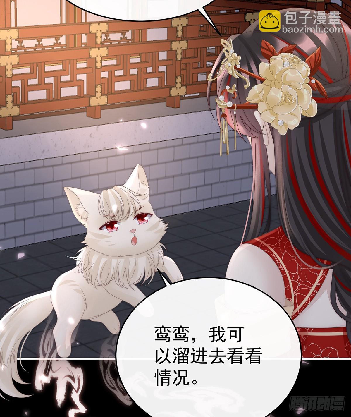妻主，請享用（別名：天喜紅鸞） - 幕後主使(1/2) - 1